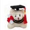 cheap graduation teddy bear for 2014