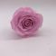 Excellent Valentine's Day gift roses wholesale preserved floria fresh flowers