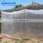 green greenhouse garden green anti mosquito net anti insect net for agriculture