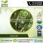 Top Selling High Grade Sour Sop Tea from Best Herbal Supplier