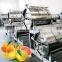 Industrial orange fruit cold press juice extractor with food processor supplier