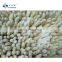Sinocharm Frozen vegetable  own planting base IQF White Asparagus Cut Frozen White Asparagus