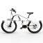 Hotselling 26inch Alloy Frame Electric Bicycle Beach Ebike 36v 250w Electric Mountain Bike