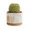 Good Selling Wall Fun Indoor Orchids Artificial Flowers Pot Luxury Plant Balcony Set Pot Flower