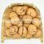 roasted walnuts herb flavor walnuts turkey uzbekistan  1 kilogram walnuts kernel extra light half