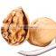 Shelled walnuts wulnut price walnut