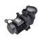PIKES Pump Factory Supply Self Priming Swimming Pool Circulation Water Pump With Handle