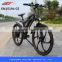 2015 hot popular mountain electric bike for sale with EN15194