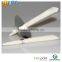 Indian Ear Candle,cone Shape With Disk