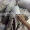 longline frozen skipjack tuna ( katsuwonus pelamis)