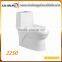 Dual Flush Ceramic Toilet Bowl wc Toilet Fish Tank Unit Bathroom Toilet Hidden Mini Camera
