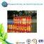 plastic based for the bottle packing/plastic divider for the bottle packing