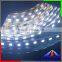 8mm 120LEDs 2835 LED Strip