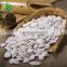 China snow white pumpkin seeds for wholesale