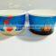 Custom Printed Disposable Ice Cream Paper Cups. high quality ice cream paper cup