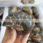 Natural Ammonite Fossils Polished Jade Fossils for Wholesale