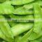 High quality Frozen IQF pea pods for sale