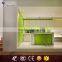 White and green color Gloss Exquisite Kitchen Cupboard combinations