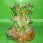 dragon tower shaped lucky bamboo air bonsai tree dracaena sanderiana indoor aquatic water plants nursery garden decoration