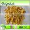 save 10% higher quality canned sweet corn 425g
