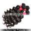 2014 6A Non Processed noshedding no tangle 6A 100 malaysian Virgin Remy Hair deep wave natures hair products Loose Wave