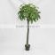 artificial fortunate tree/money tree on sale