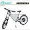 48V 1000W enduro electric bike , beach cruiser electric bike,men's ebike