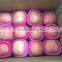 Yantai Fresh Fuji Apple Gala Full Red Apple