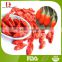 top quality organic dried goji berry from China / red goji / health food
