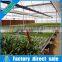 Seed nursery bed agricultural greenhouse equipment