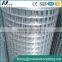 GI Wire Mesh Electro Galvanized Welded Wire Mesh
