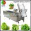 Best popular whole stainless steel bubble vegetable washing machine with ozone system fruit washer automatic vegetable washing