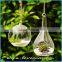 Clear Hanging Hanging 4 Inch Round Ball Air Plant Terrarium Globe