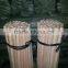 Plastic brush guangxi wooden pole made in China