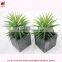 Artificial succulent plants fake little succulent potted mini plant wedding collection home decoration