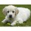 test image upload