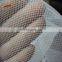 China Factory Anti-Insect Nets/Anti insect 40 mesh