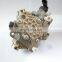 Original Common Rail Fuel Injection Pump 0445010182/0445010159
