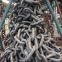 China largest 66mm Marine Anchor Chain