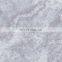 Foshan 600x600mm 6 patterns 3D inkjet quality italian tiles floor tiles JBR6118H