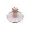 Gold Pineapple Custom Logo Gold Small Ceramic Jewelry Ring Dishplay Tray Dish Plate