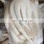 Good quality BQF frozen blanched squid tentacle skin off