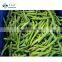 Sinocharm Xiamen  diameter 8-10mm Frozen Green Beans IQF Whole Green Beans