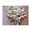 Polychloroprene Rubber Cr2441 2442 Chloroprene Rubber Cr244 1211 1212 Cr2321 2322 Neoprene