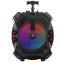 Portable Active Partybox Big Bass Karaoke Speaker Led Light 30w BT Speaker With Wireless Microphone