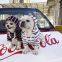 Dog clothes hoodies pet clothes patterns