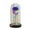 Wholesale Valentines Day Mothers Day Gold Foil Rose in Glass Dome with LED Light Eternal Galaxy Rose Gift Set