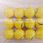 Wholesale soft toy, smile pu foam stress ball