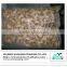 Frozen boiled clam meat shellfish