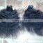 Indian Remy Hair from India , curly hair weaves
